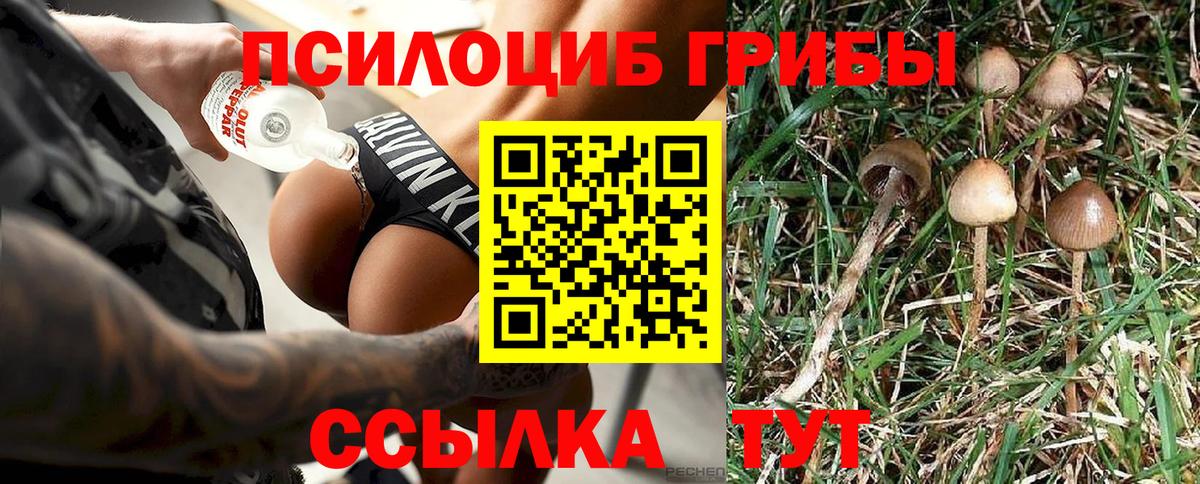 где купить   Галлюциногенные грибы Psilocybe  Вход с VPN  Старая Купавна 